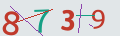 verifycode